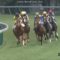 【競馬】新馬戦圧勝のリアアメリア川田「わざと出遅れて、後ろからの競馬を練習させました」