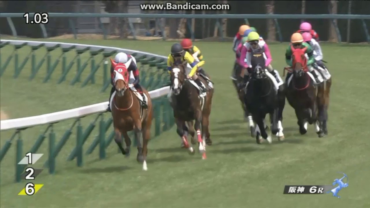 【競馬】武豊ｘキーファーズのゴータイミング登録抹消