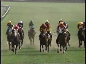 【競馬】ナリタタイシン死亡　３０歳　93年皐月賞