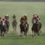 【競馬】ナリタタイシン死亡　３０歳　93年皐月賞
