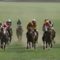 【競馬】ナリタタイシン死亡　３０歳　93年皐月賞