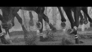 【競馬】JRAのCM「あの馬のように挫折しても立ち上がる強さ」←どの馬？