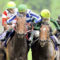 【競馬】＜画像＞ジャスタウェイ柴田善臣ＶＳグランプリボス三浦皇成の殴り合い名勝負すぎワロタｗｗｗｗｗｗｗ