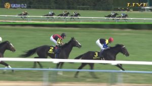 【競馬】若駒Sを勝ったキズナ産駒・ケビン、サイレンススズカと同じ重度の骨折で復帰は絶望的だった
