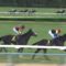 【競馬】若駒Sを勝ったキズナ産駒・ケビン、サイレンススズカと同じ重度の骨折で復帰は絶望的だった