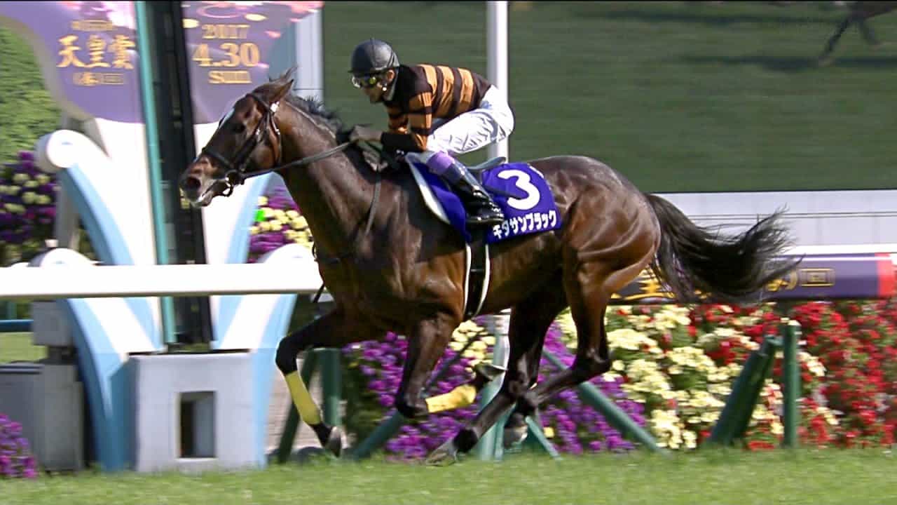 【競馬/POG】ダービー馬半弟アブソルティスモ出走！東京日曜５R４頭立てwww
