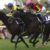 【競馬】JRA騎手和田さん結婚！！！