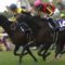 【競馬】桜花賞馬デアリングタクトが除外の危機にあったという事実