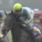 【競馬】無敗の牝馬三冠へ！デアリングタクト、ローズステークスで始動