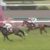 【競馬】デアリングタクトの初年度配合相手