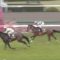 【競馬】デアリングタクトの初年度配合相手