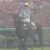 【競馬】悲報・・オークス売り上げダウン前年比９２・２％　春のＧ１では６戦目の売り上げ減