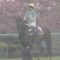【競馬】デアリングタクトさん、オークス時から30キロ増量しパワーアップの成長力！