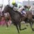【競馬】デアリングタクトの全妹が4900万って安すぎるだろ。4万9000円なら俺が買いたかったわ 【競馬】デアリングタクトの全妹が4900万って安すぎるだろ。4万9000円なら俺が買いたかったわ