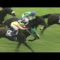 【競馬】トロットサンダー「マイルなら絶対負けない」 22戦15勝(主な勝鞍マイルCS、安田記念)←なんでこの馬人気ないんだよ