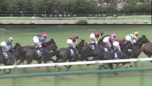 【競馬】朗報・・アーネストリー見つかる