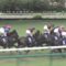 【競馬】朗報・・アーネストリー見つかる