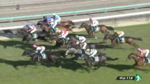 【競馬・オークス】無傷のキズナ産駒アブレイズ、斎藤助手「まだまだこれからの仔」 【競馬・オークス】無傷のキズナ産駒アブレイズ、斎藤助手「まだまだこれからの仔」