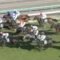 【競馬・オークス】無傷のキズナ産駒アブレイズ、斎藤助手「まだまだこれからの仔」