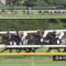 【競馬】ダービー今年のフジ実況は青島