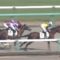 【競馬】今日の兵庫CS勝ったバーナードループに新馬で1秒6差勝ちのカフェファラオ強すぎワロタｗｗｗｗ