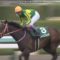 【競馬・NHKマイルC】武豊「希望的観測しかプラスな面がない。レシステンシアは強いからね、何故か僕は降ろされたけど」