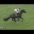 【競馬】すまん、オークスの1番人気がデゼルになりそうなんだが