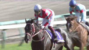 【競馬】皐月賞レベル高杉ワロタwwwwwwwww