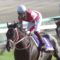 【競馬】皐月賞レベル高杉ワロタwwwwwwwww