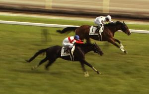 【競馬・安田記念】ダノンキングリー戸崎「復帰前に依頼があって『やるぞ』という気持ちになりました」