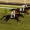 【競馬・安田記念】ダノンキングリー戸崎「復帰前に依頼があって『やるぞ』という気持ちになりました」