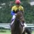 【競馬・高松宮記念】セイウンコウセイあるぞおじさん「セイウンコウセイあるぞ」