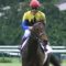 【競馬】ルメール祭ｗｗｗｗｗｗ 東京最終も勝って1日8勝で武豊に並ぶJRAタイ記録ｗｗｗｗ