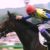 【競馬・天皇賞春】アンカツ見る目あるやんと評価上がる