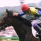 【競馬】ディープインパクト、オルフェーヴル、ドゥラメンテ、コントレイル