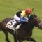 【競馬】雪降ってるぞ中山競馬場ｗｗｗｗｗ