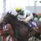 【競馬】ルドルフ→強すぎて人気ない　ディープ→めちゃ強くて大人気