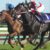 【競馬】神戸新聞杯1.1倍1着→菊花賞1.1倍1着(無敗の三冠達成)→JC2番人気2着(1番人気1着は5歳牝馬)