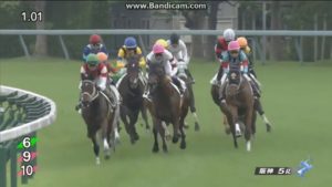 【競馬・2歳新馬】1番人気ステラリア団野、何回も詰まるｗｗｗ