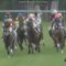 【競馬・2歳新馬】1番人気ステラリア団野、何回も詰まるｗｗｗ