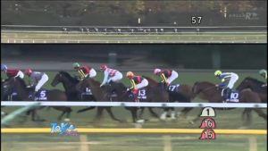【競馬】＜動画＞何故オルフェはジェンティルの進路を塞ごうとしたのか？