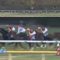 【競馬】＜動画＞何故オルフェはジェンティルの進路を塞ごうとしたのか？