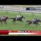 【競馬】武豊「何キロでも乗ります！乗せてください」武豊がそこまで惚れ込むパラスアテナとは何者なのか