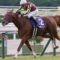 【競馬】ラッキーライラック、次走はデムーロで札幌記念