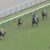 【競馬】ダノンザキッドって化けもんじゃね？新馬2着馬ワンダフルタウンが新潟でレコード勝ち