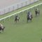 【競馬】ダノンザキッドって化けもんじゃね？新馬2着馬ワンダフルタウンが新潟でレコード勝ち