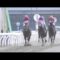 【競馬】覚醒後のスマートファルコンはなんで地方ばっかり走ってたの？