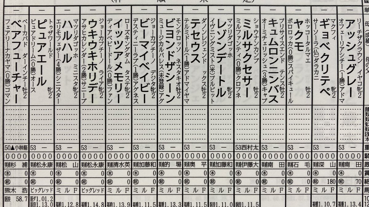 【競馬】土曜新潟1R直1000m２歳未勝利、出走想定１４頭中１１頭がミルファームｗｗｗｗｗｗｗｗｗｗ