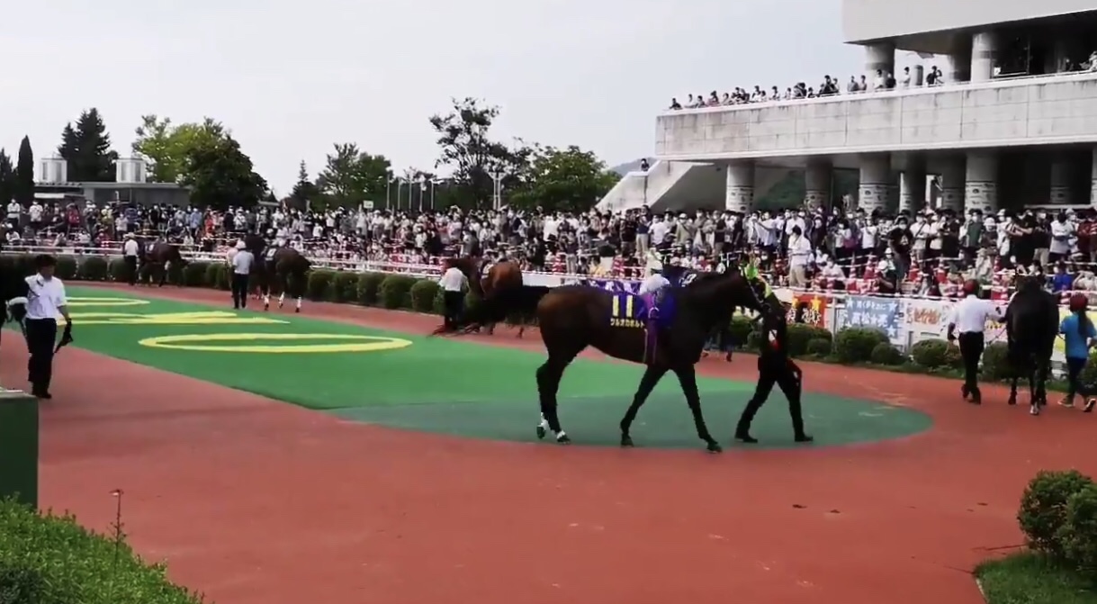 【競馬・画像】クラスターカップ有観客開催は失敗だった!ずさんな体制浮き彫り!「入場前の検温も消毒もなかった」