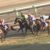 【競馬】ハーツクライってGIは2勝しかしてないのになぜ強い馬扱いされてるの